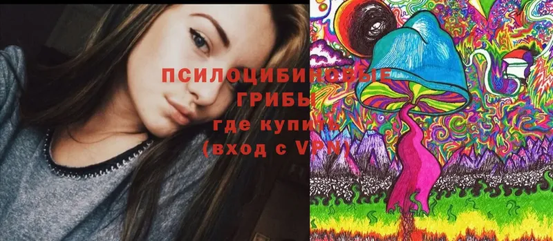 Псилоцибиновые грибы Cubensis  купить   Ермолино 